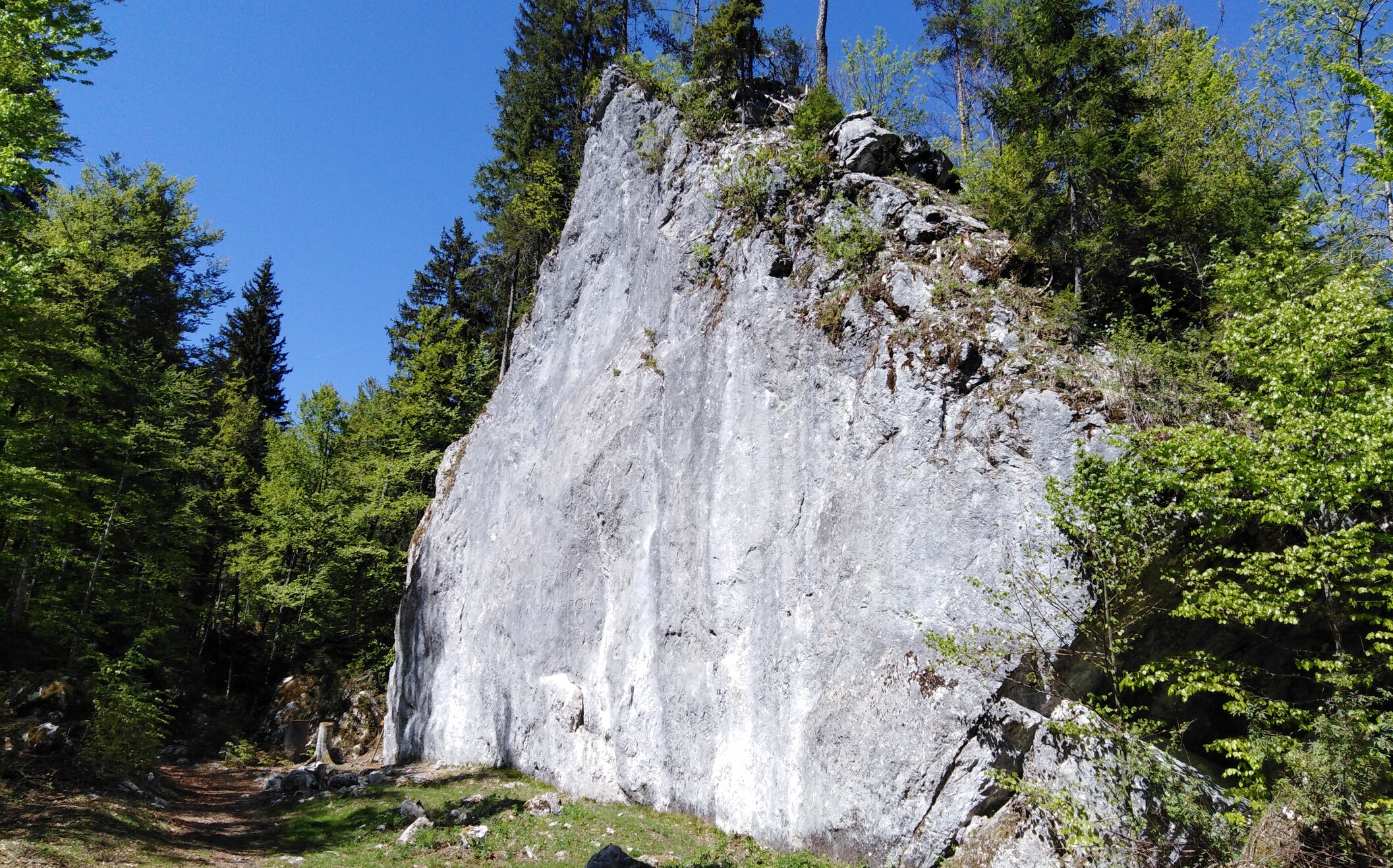 Giro dei Laghi di Fusine | Tarvisiano